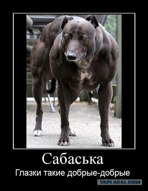 Подборка демотиваторов