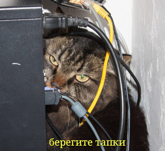 Включили в офисе пылесос