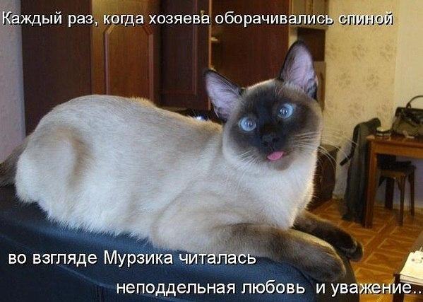 Картинки и демотиваторы