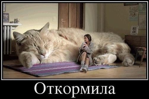 Картинки и демотиваторы