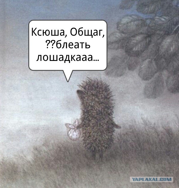 Собчак сравнила себя с Поклонской