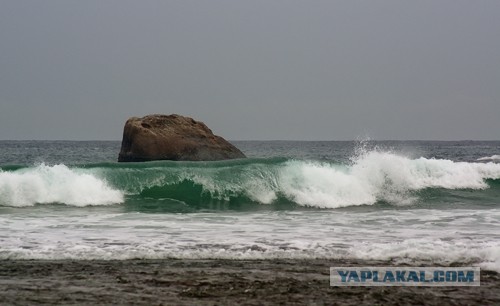 Самостоятельное путешествие в Шри-Ланку