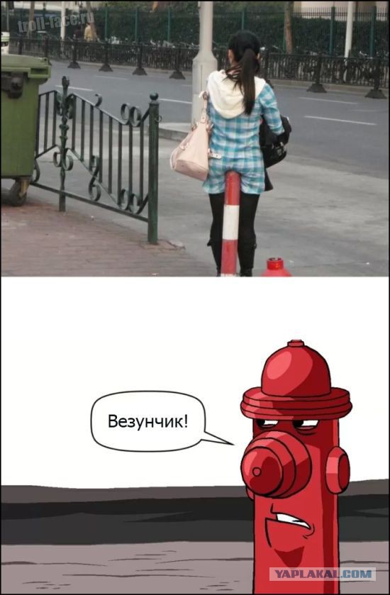 Так выглядит черная зависть