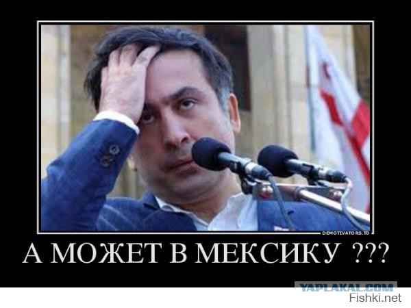 МВД Украины завело дело на Саакашвили