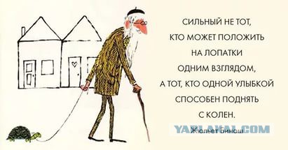 Завелись соседи...