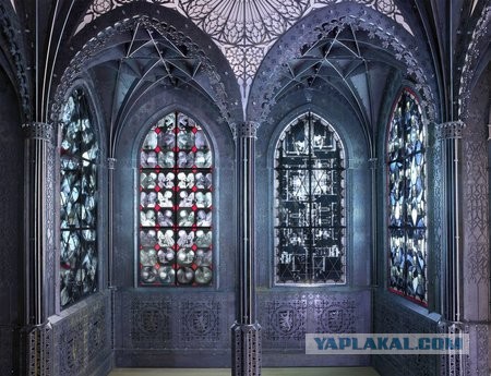 Художник запечатлел процесс секса в рентгеновских лучах