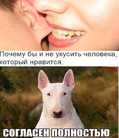 Абсурдный юмор ч.25