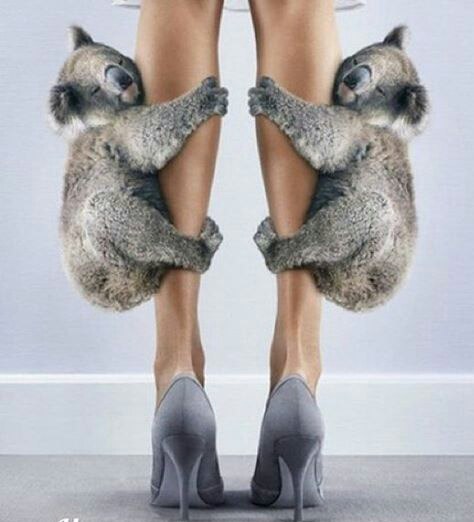 Подборка интересных и веселых фото