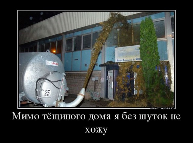 Подборка смешных картинок