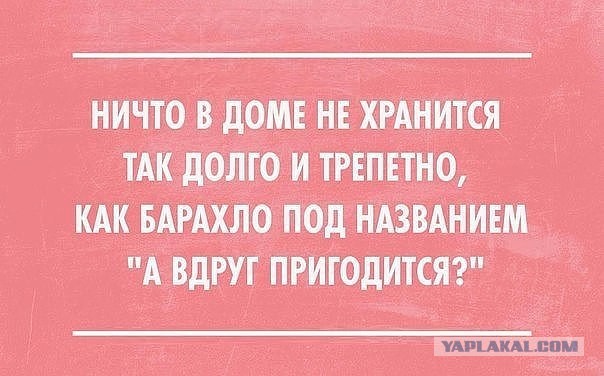 Картинки и приколы из сети, для поднятия настроения=)