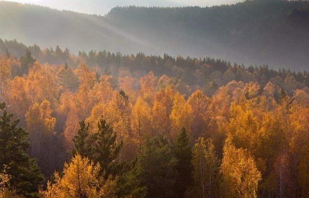 Порция картинок