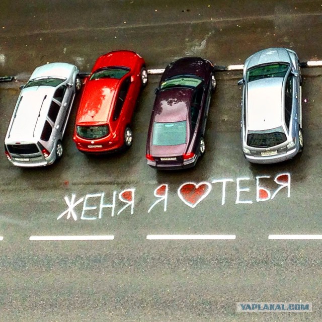 Любвеобильные соседи