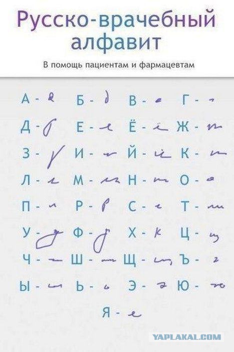 Смешные картинки из сети на 04.11.16