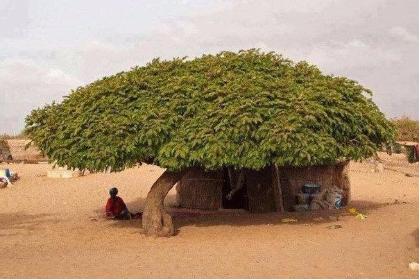 Моменты, запечатлённые на фото и просто позитив 5