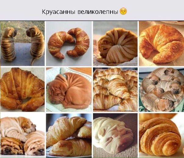 Порция абсурдного юмора на следующую неделю