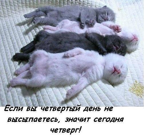 Подборка добрых и эмоциональных снимков