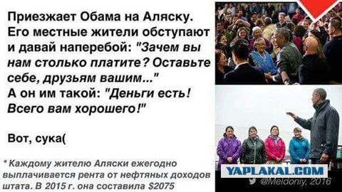 У них климат другой.