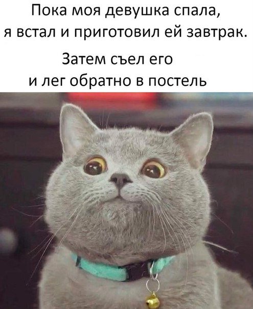 Подборка прикольных картинок на среду