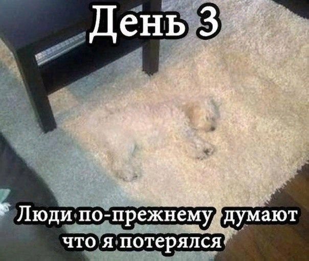 Забавных картинок не хотите ли?