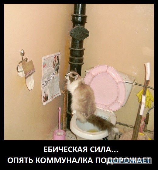 Пятничные фигушки-ерундушки!