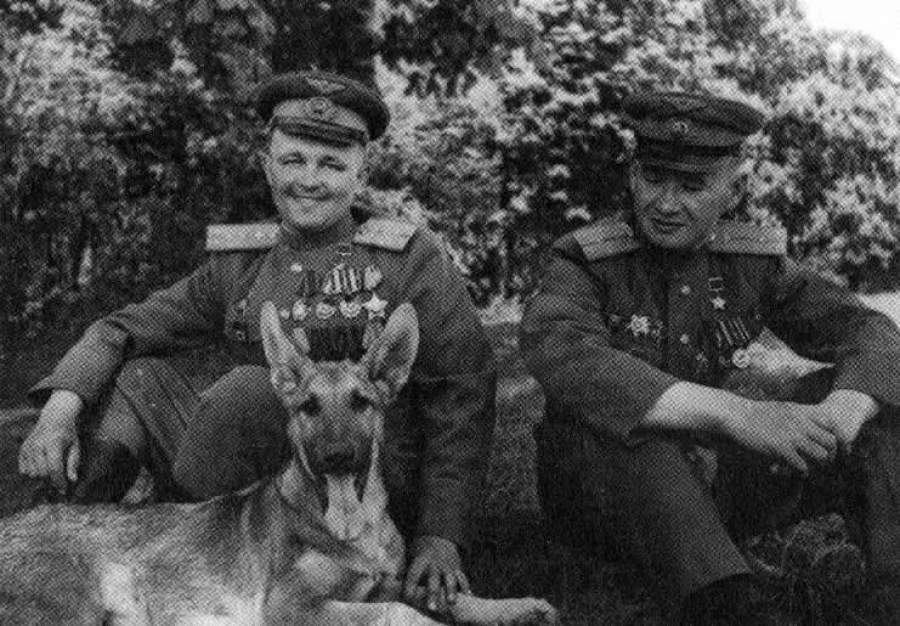джульбарс имя что значит. Смотреть фото джульбарс имя что значит. Смотреть картинку джульбарс имя что значит. Картинка про джульбарс имя что значит. Фото джульбарс имя что значит