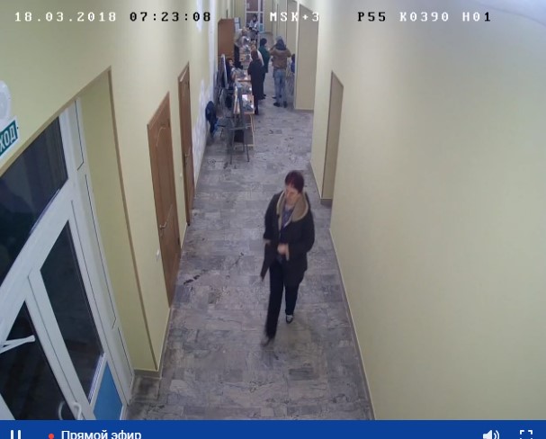 Видеотрансляция выборов 2018