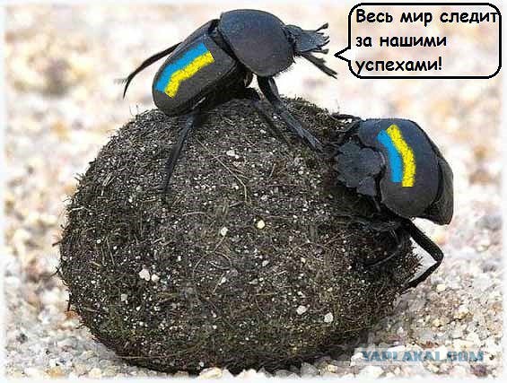 Украинский пранкер Вольнов поглумился над трагедией в Кемерове