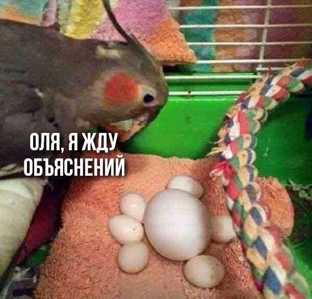 Не смешите меня