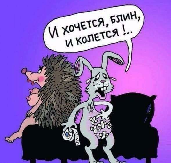 *бля ежей