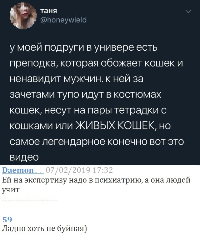 Студент ради зачёта пришёл на пару в костюме котика