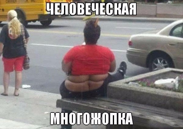 Чудики из социальных сетей