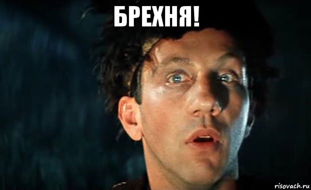 Не смотрите им в глаза! Гипнотизирующие собаки на федеральном ТВ