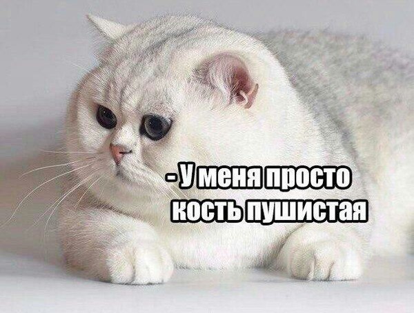 Чуток картинок. Ночные 3