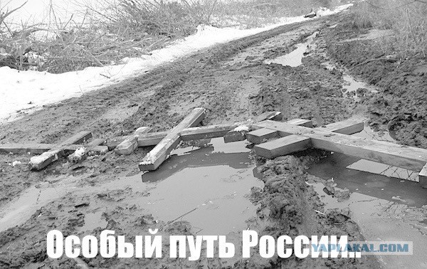 Невозмутимый сбор...