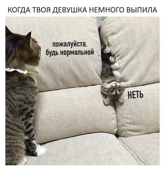 Алкоты, пост!