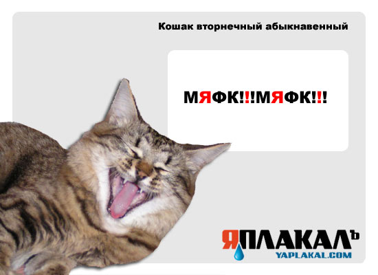 Конкурс фотожабы: Я Люблю ЯПлакалъ
