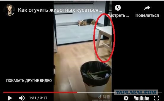 Американцы не были на Луне