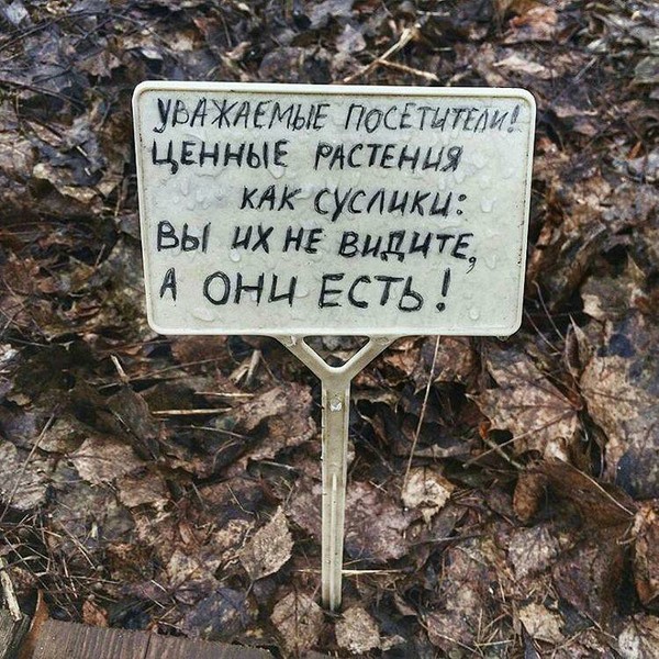 10 лет брака псу под хвост