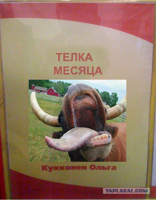 Фотожаба: Первое место по улыбкам!