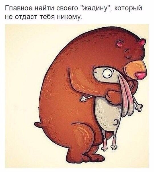 Фотки и картинки: юморные и красивые, забавные и милые 03.10.20