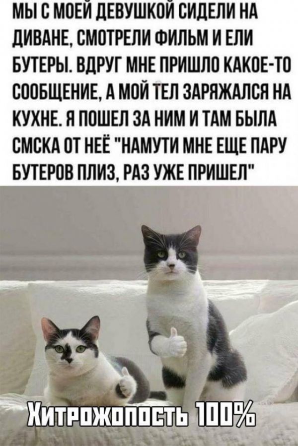 Немного картинок для настроения 28.10.20