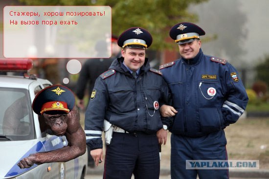 Фотожаба: Всю жизнь за решеткой