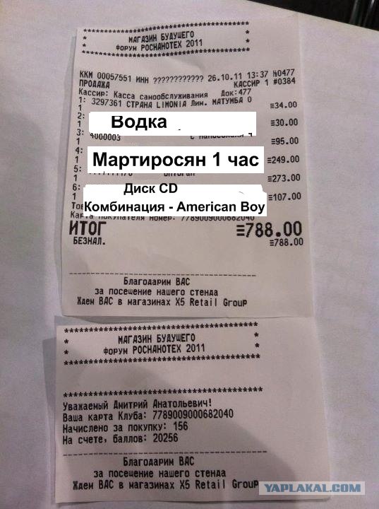 Наночек Медведева. Пожабим?