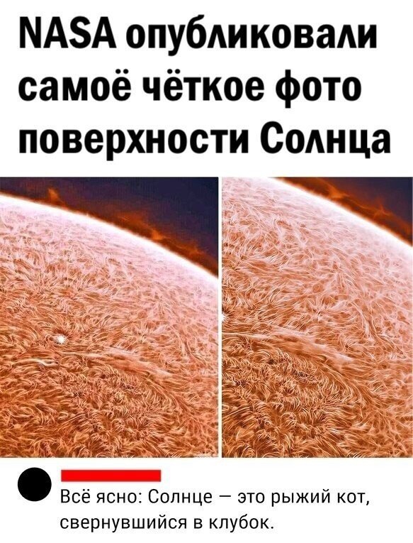 Картинки и мемы для настроения 017
