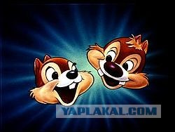 Пойграй с бурундуком