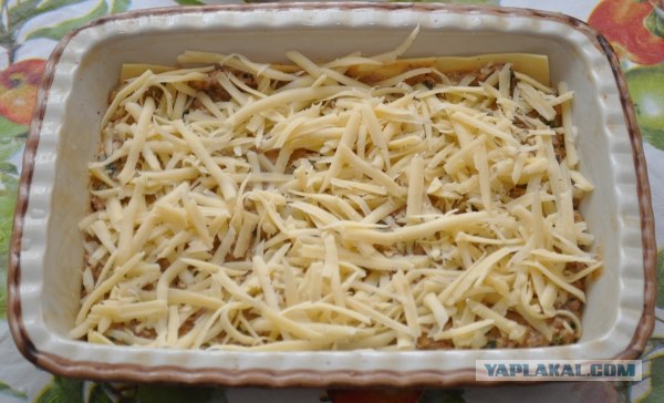 Холостяцкий обед