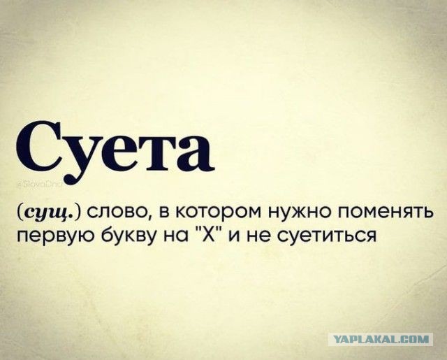 Весёлый полтишок 28.06.21