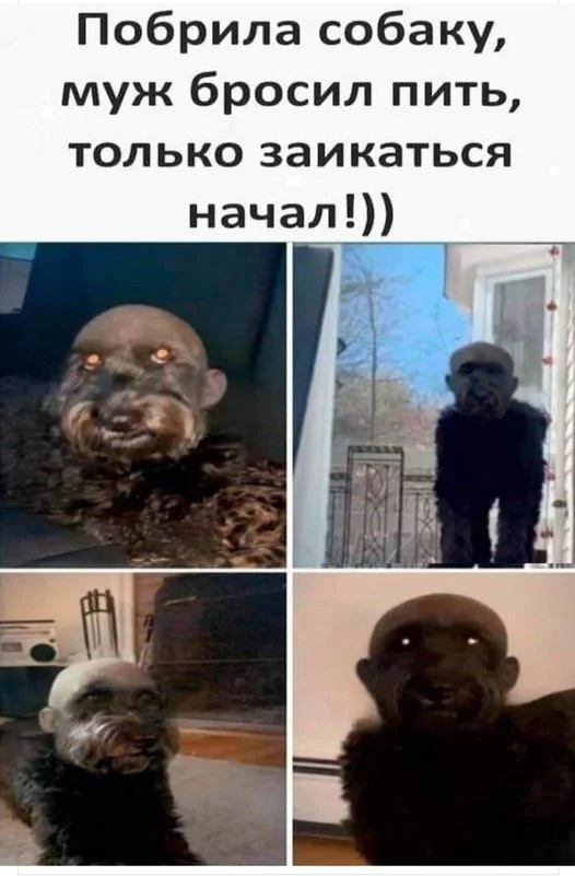 https://s00.yaplakal.com/pics/pics_original/5/9/2/15955295.jpg