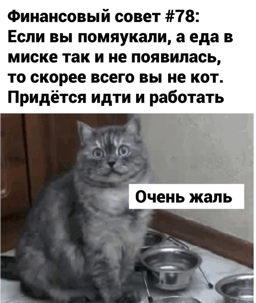Картинки и мемы для настроения 13.10.2021