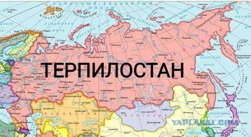Перед законом все равны, но кто-то равнее
